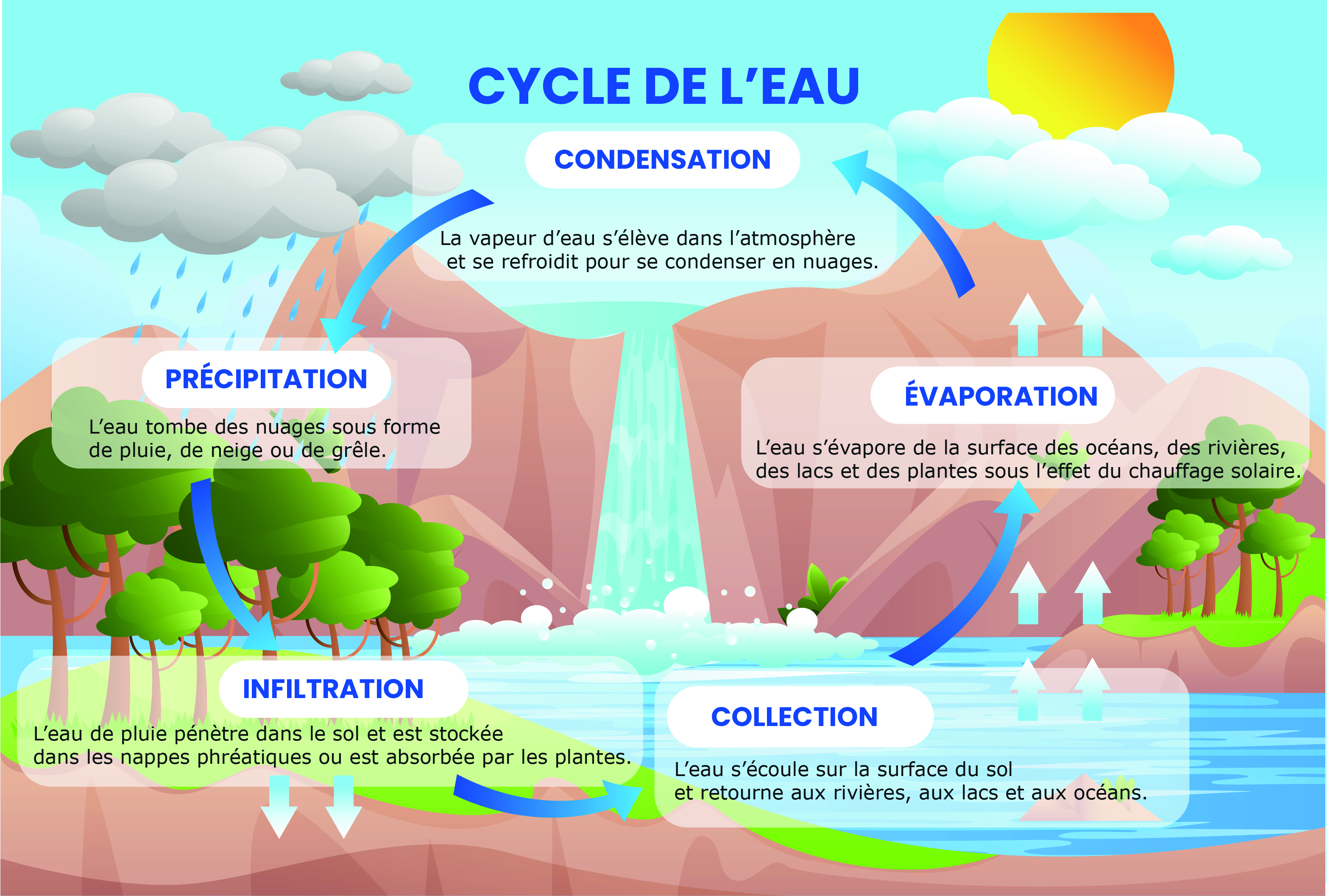 cycle de l_eau.jpg