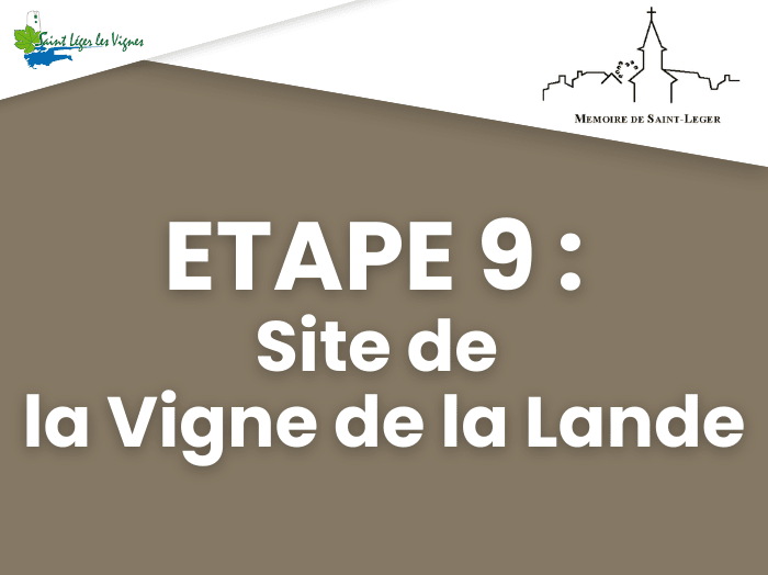 Etape 9 la Vignes de la Lande.png