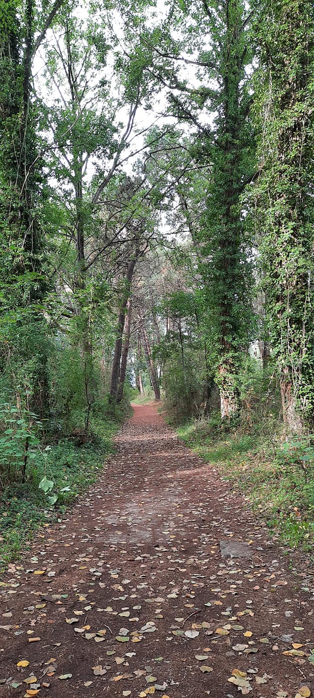 Mont St Frieux 7.jpg