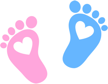 Naissance pieds bb réduite 96.jpg