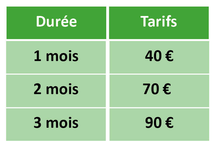 Traifs.jpg