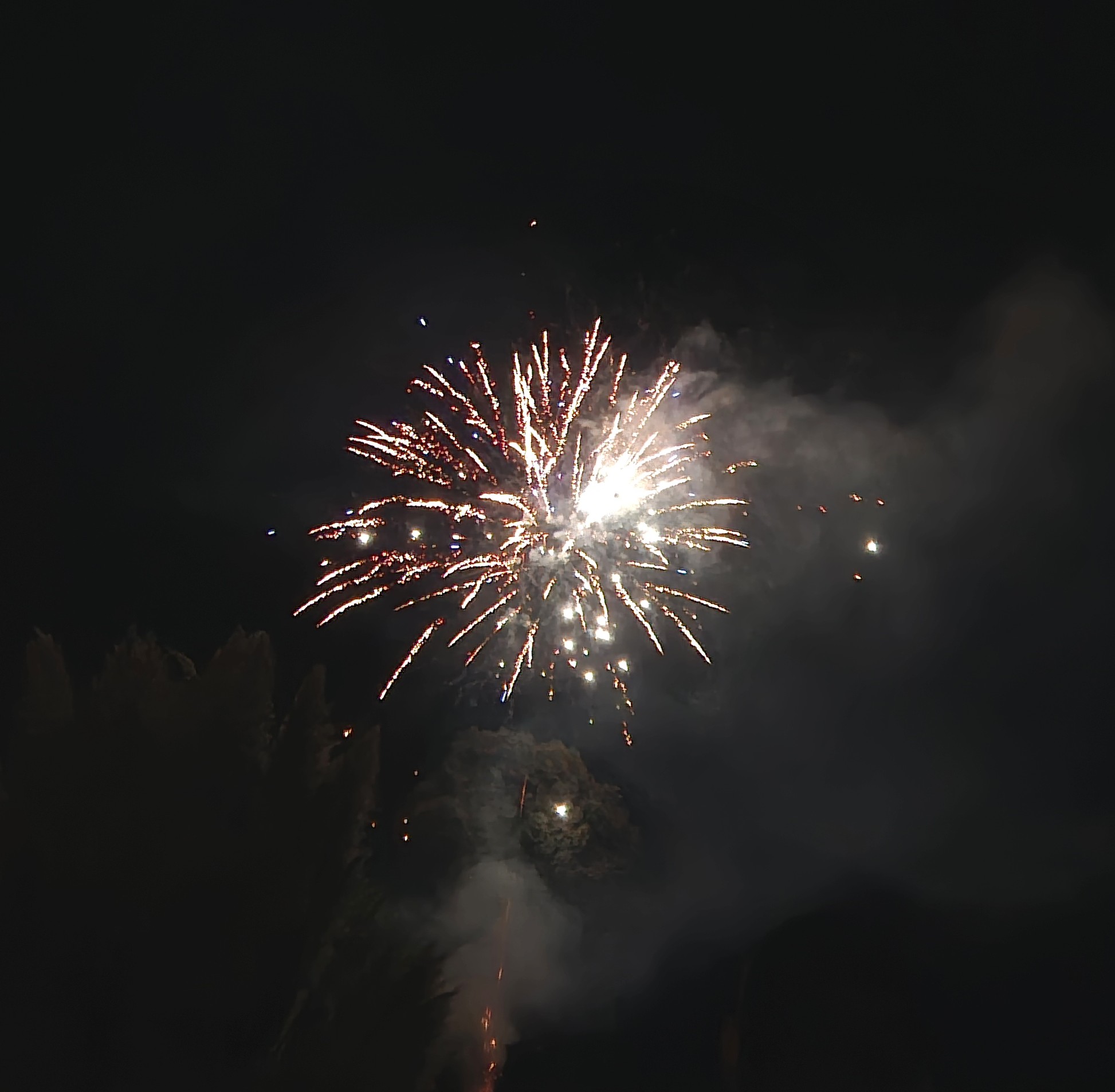 fête-Suzy  _11_.jpg