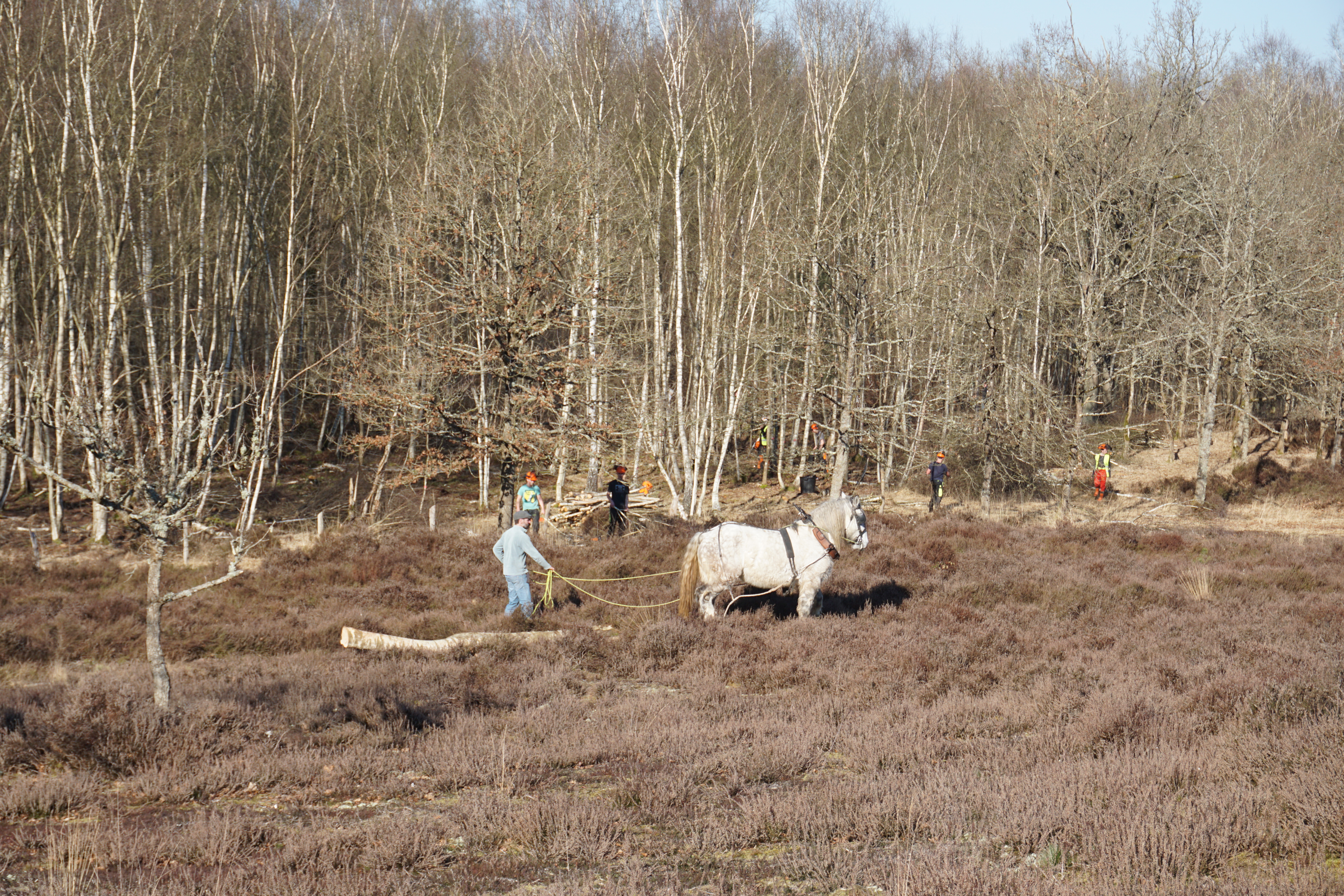 mars-travaux au marais.JPG