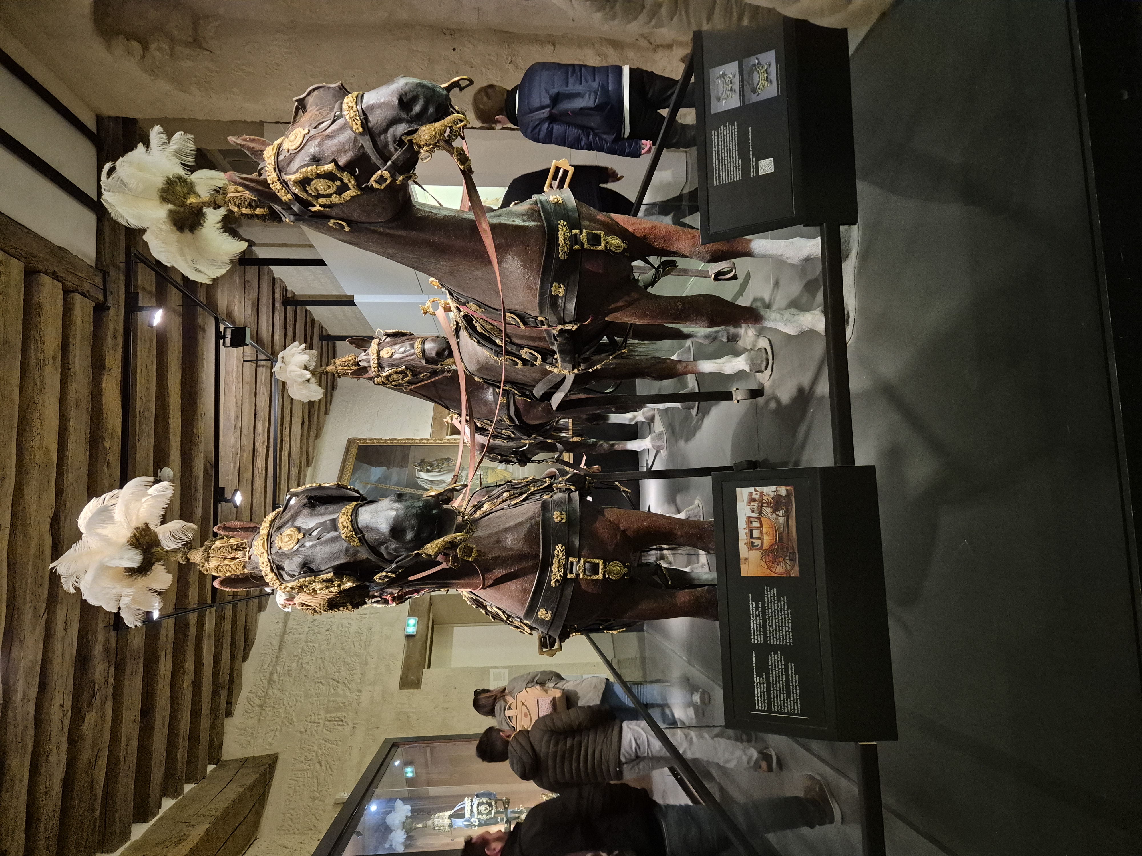 mer de sable-chantilly _3_.jpg