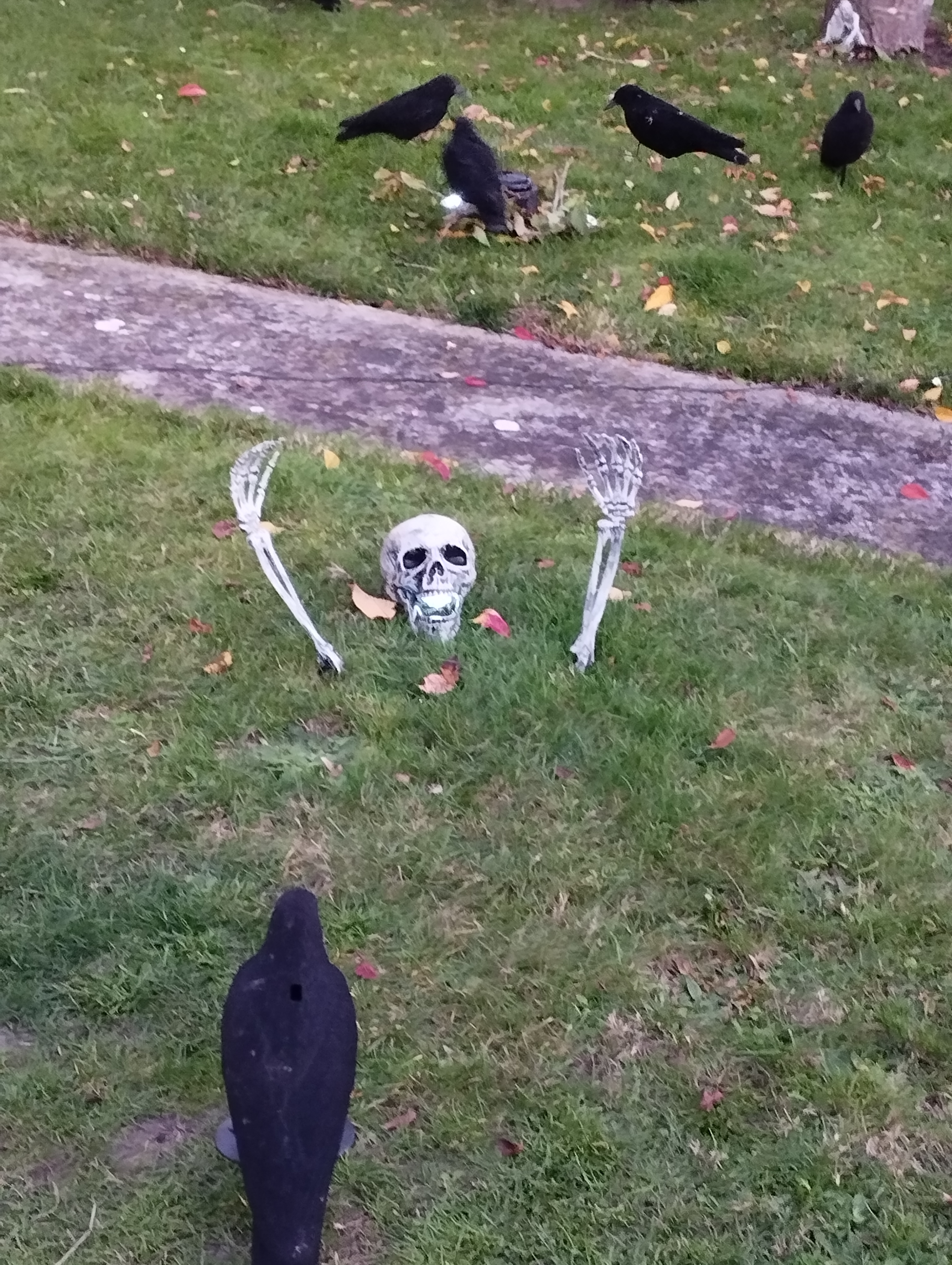 2025-halloween _16_.jpg