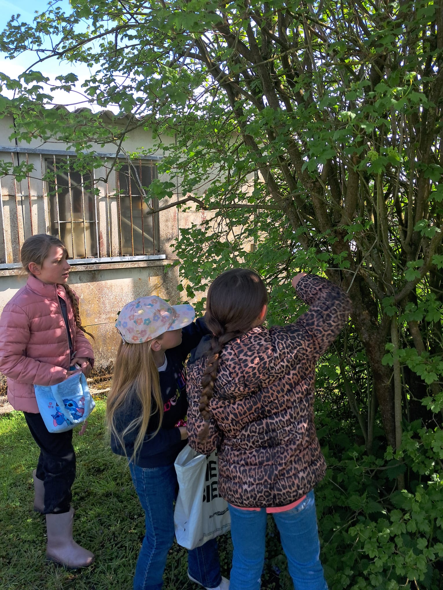 2026-Pâques _8_.jpg