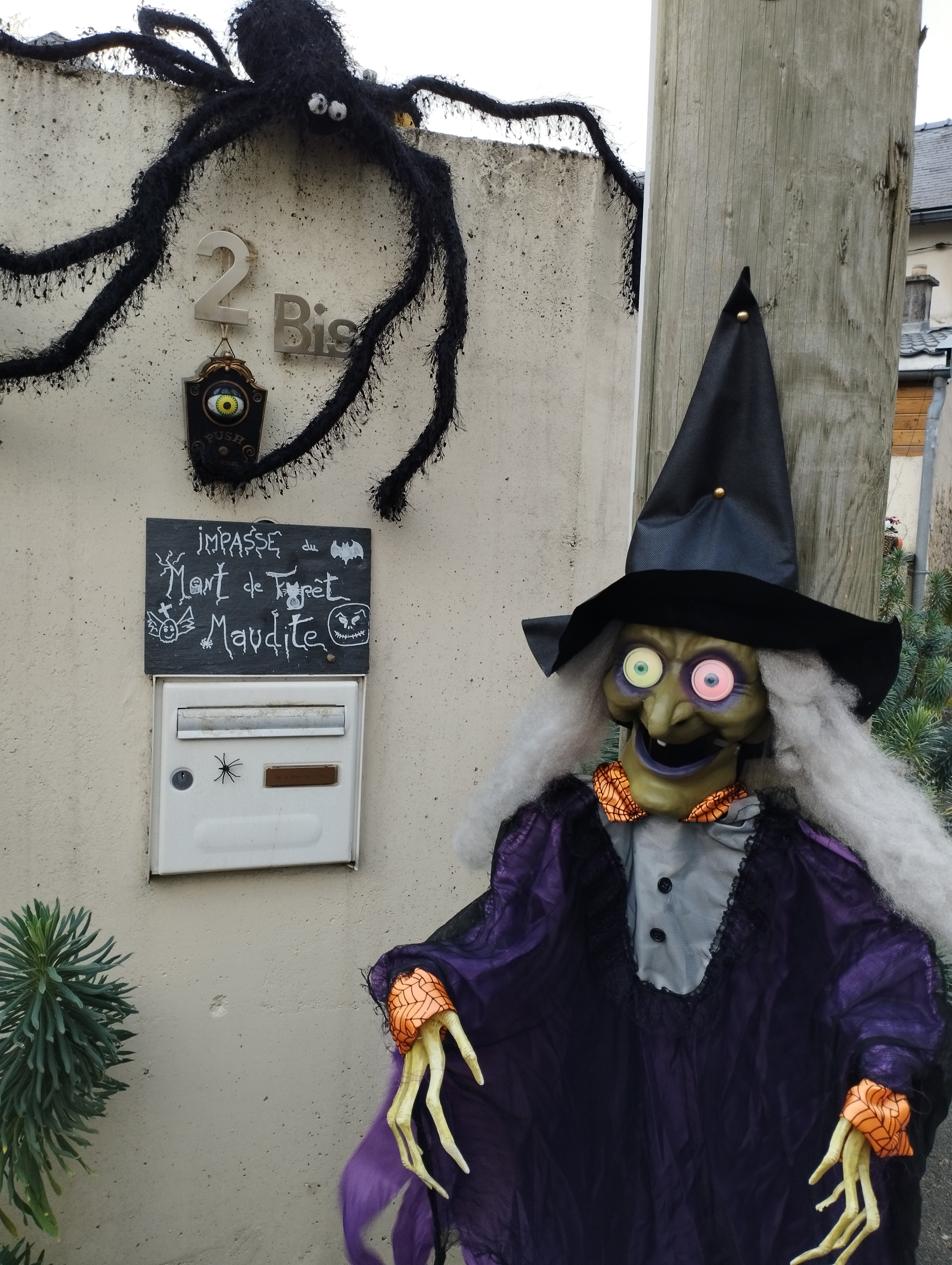 2025-halloween _13_.jpg