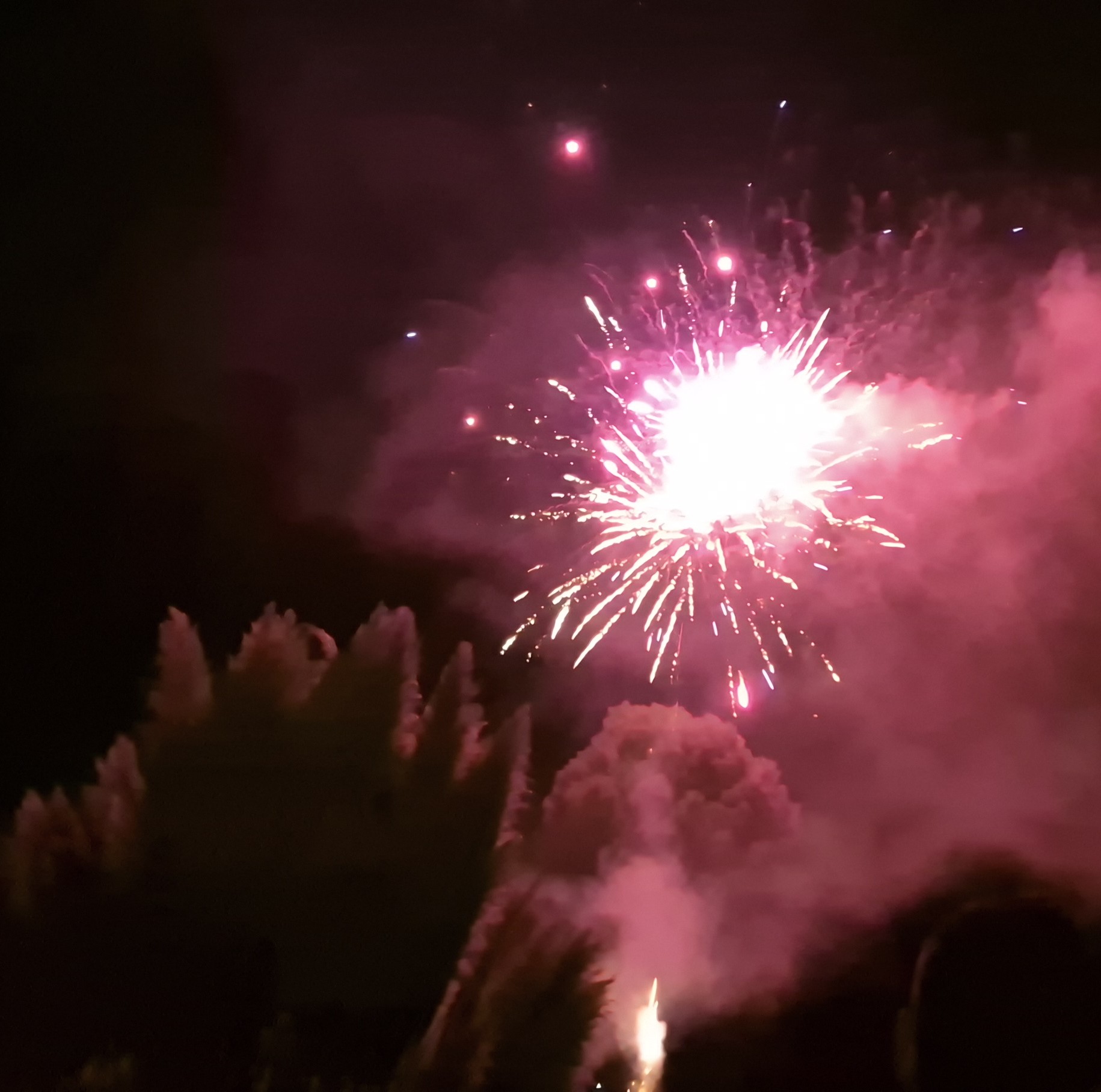 fête-Suzy  _10_.jpg
