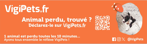 Vigipets_logo.PNG