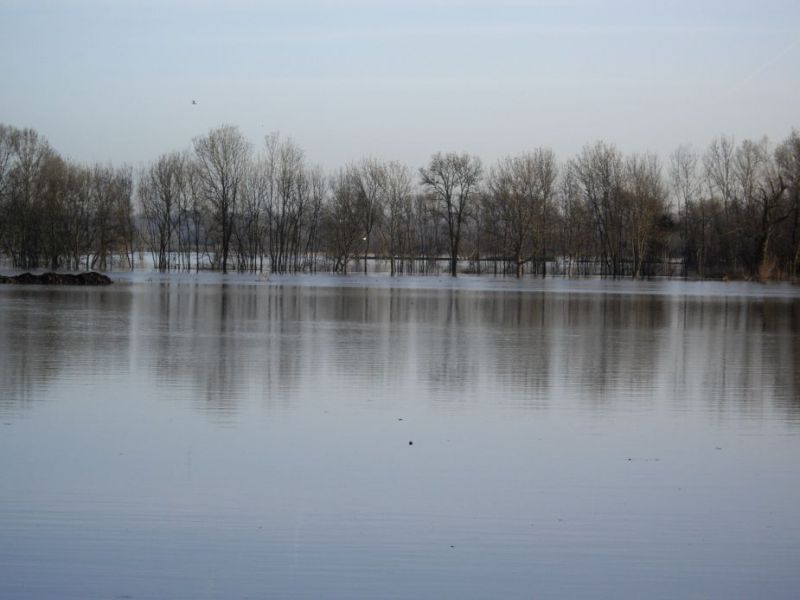 inondation 2.jpeg