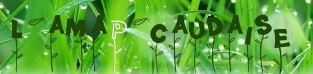 L_amap_caudaise_logo.jpg