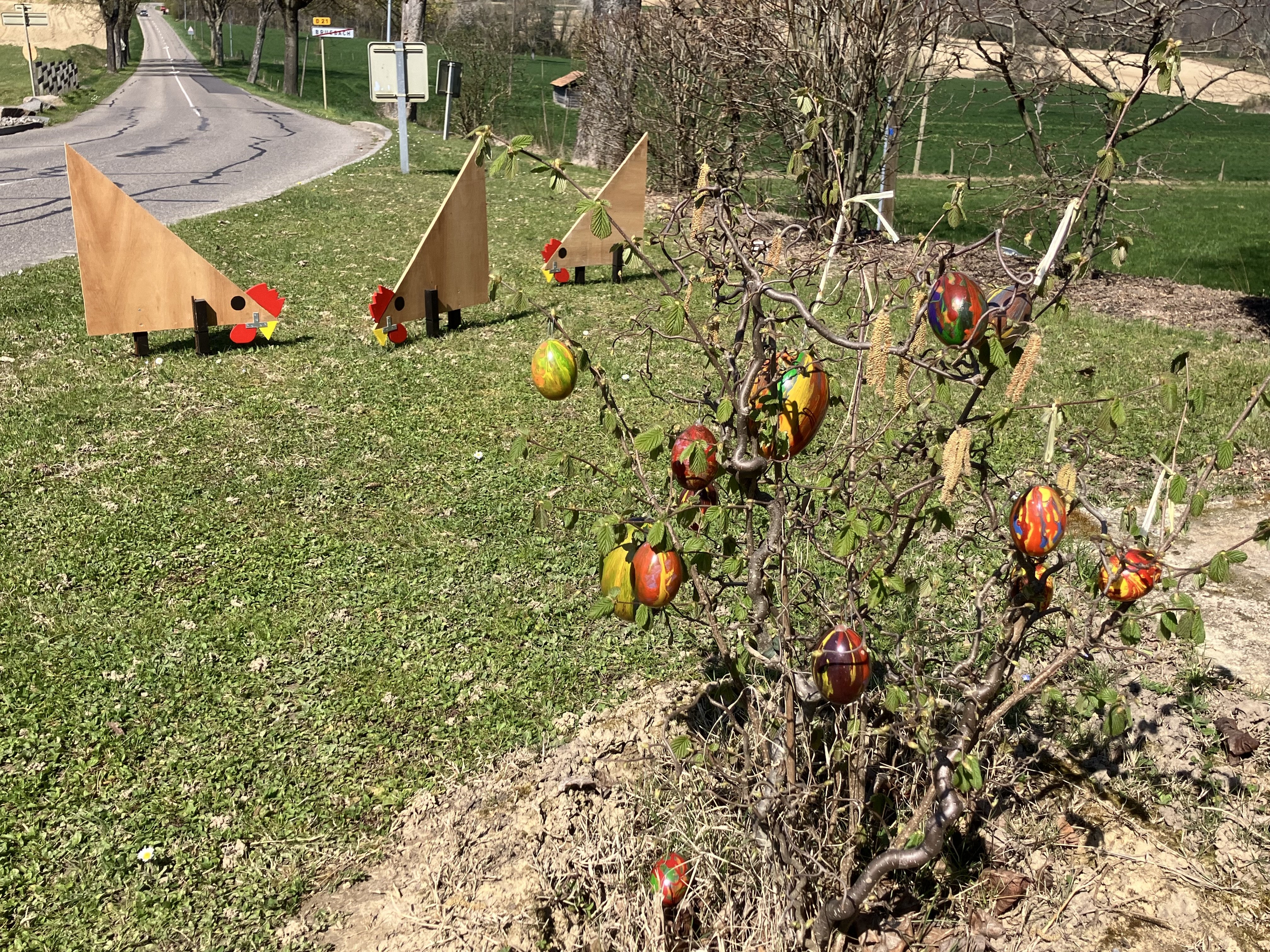 IMG_4193.jpeg