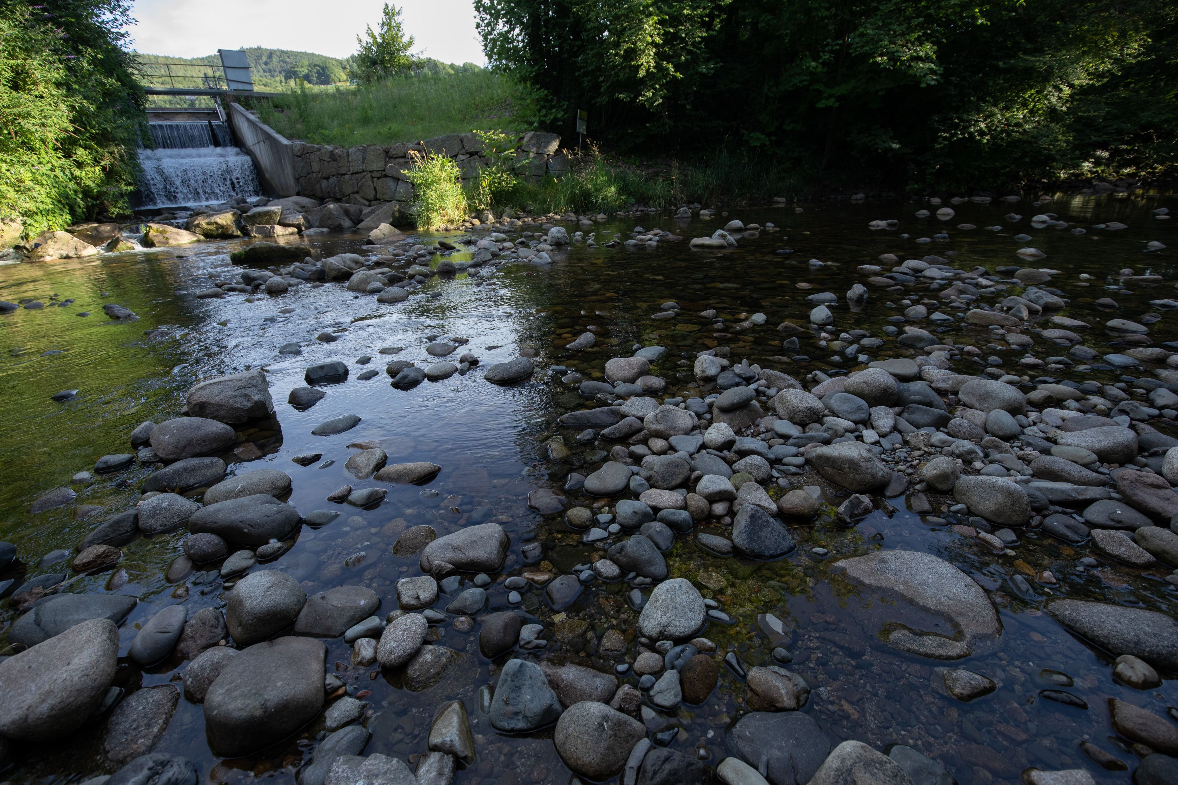 rivière.jpg