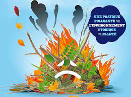 brûlage de déchets verts.jpg