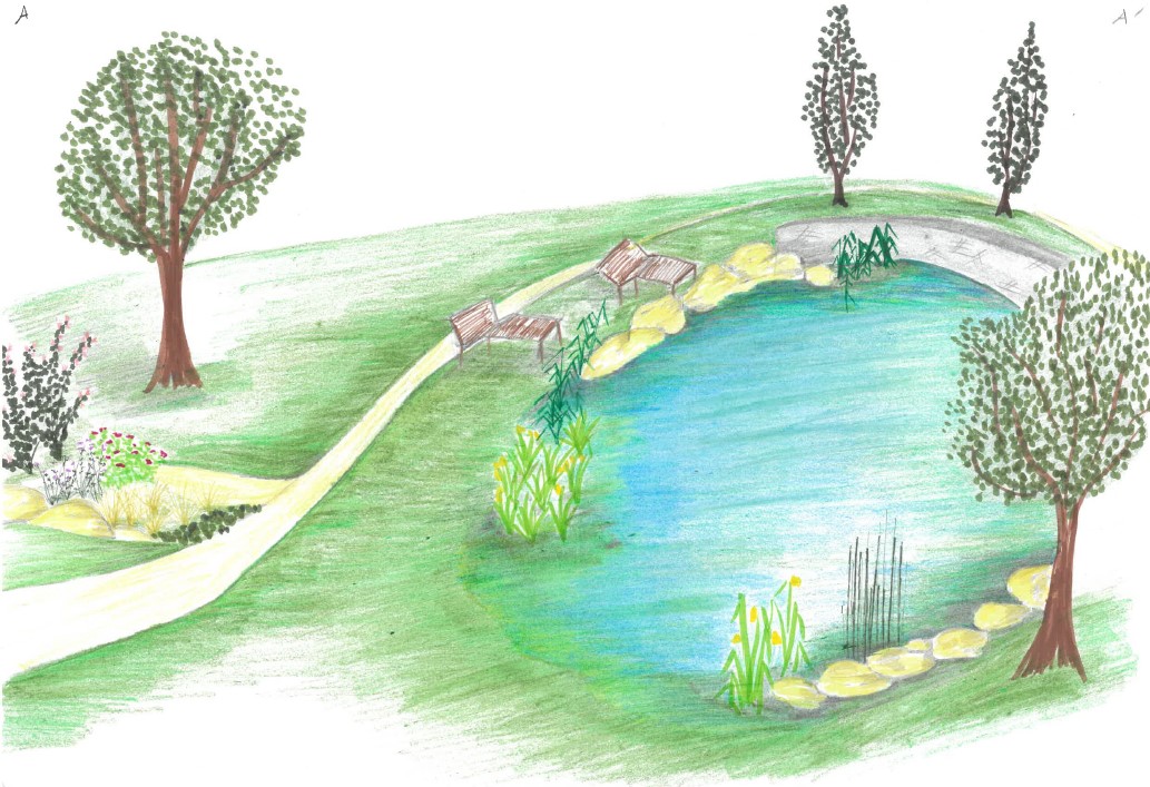 image aménagement point d_eau.jpg