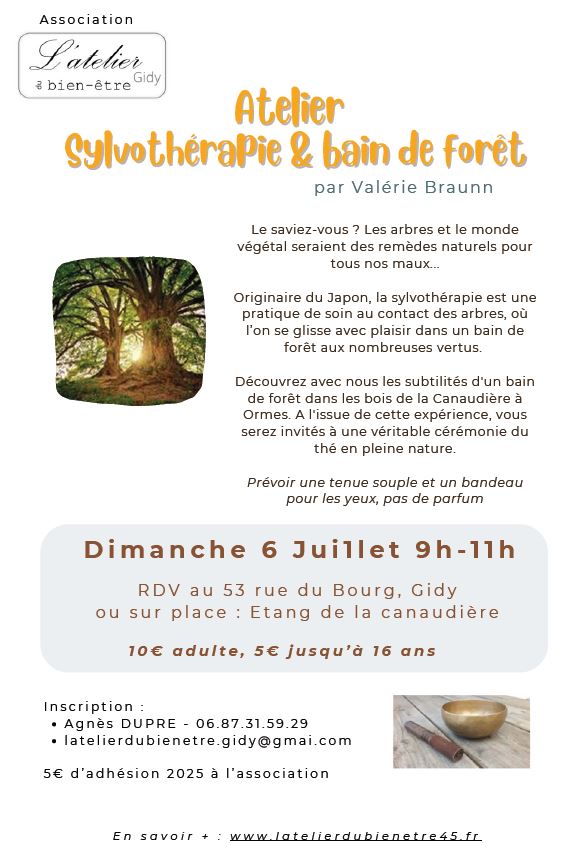 sylvothérapie et bain de forêt 06-07-2025.JPG