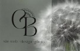 Clemence Bonneaud Développement web design photo carte de visite recto.JPG