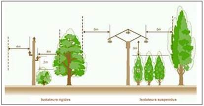 image élagage distance de sécurité.jpg