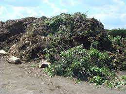 image déchets verts.jpg