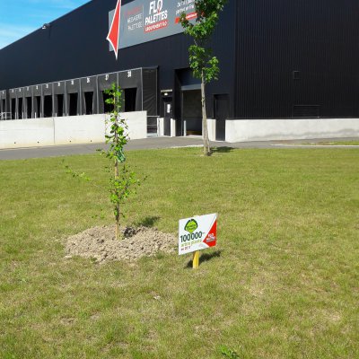 Flo palette jardin.jpg