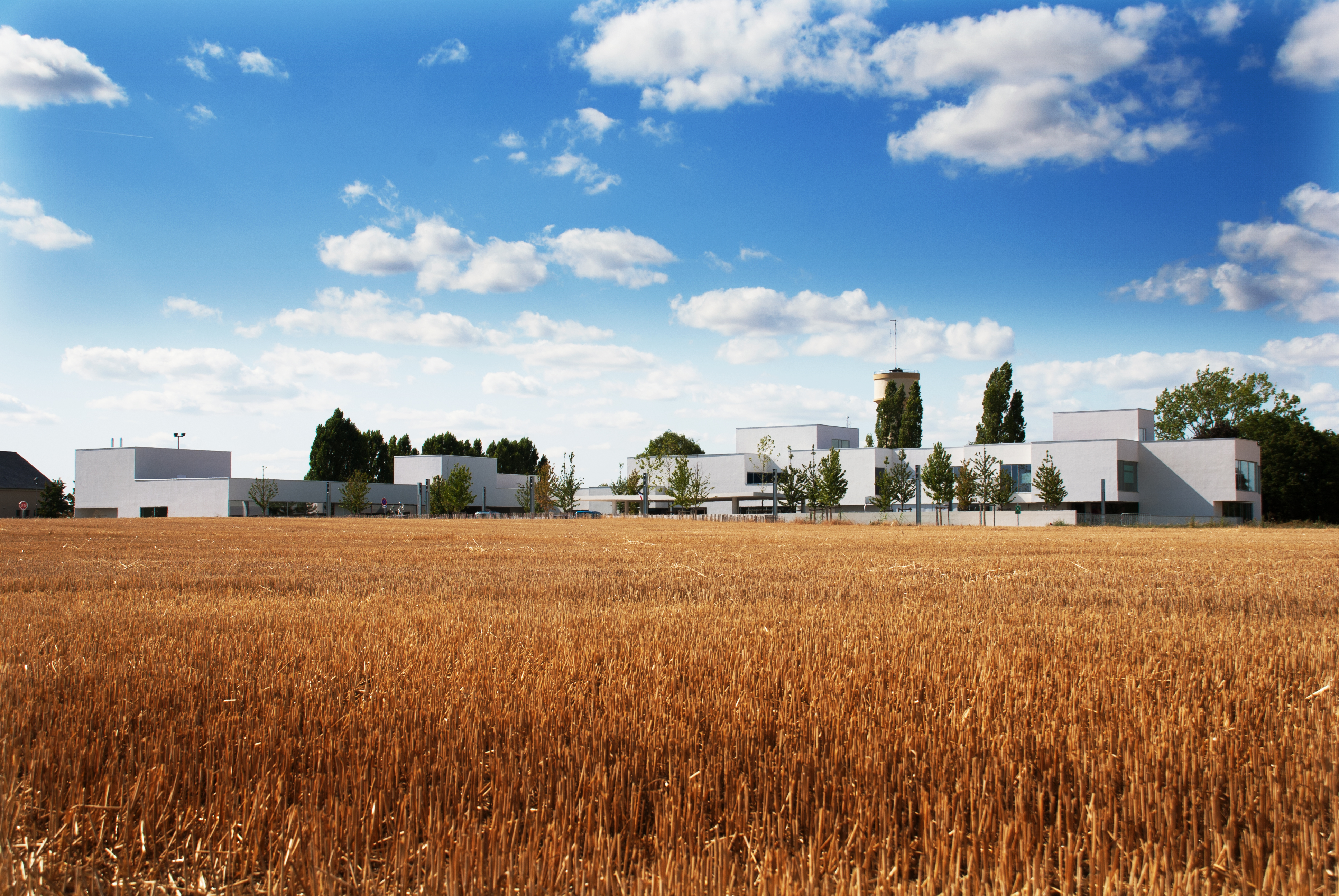 école dans le paysage.jpg