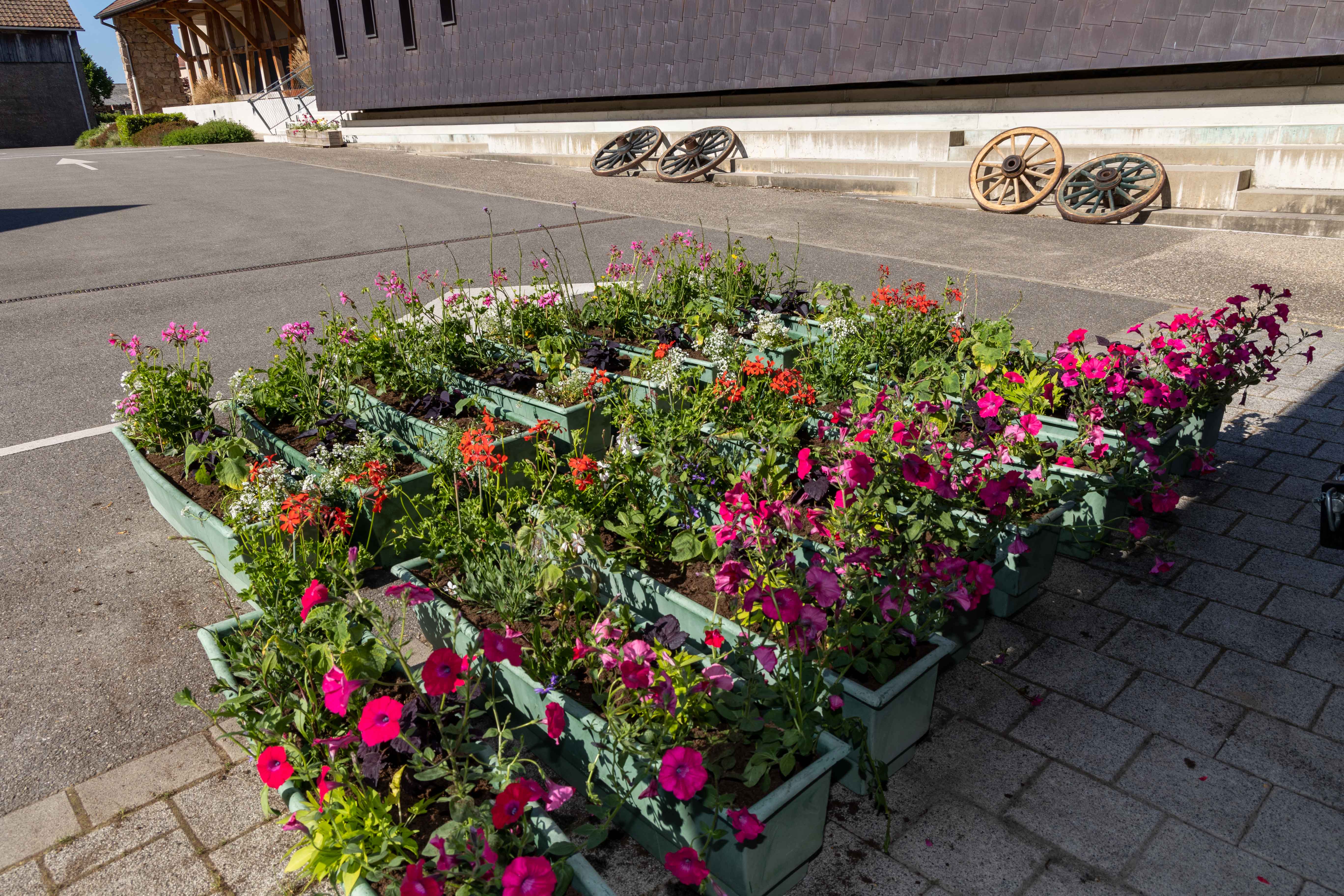 Commune de Sundhoffen