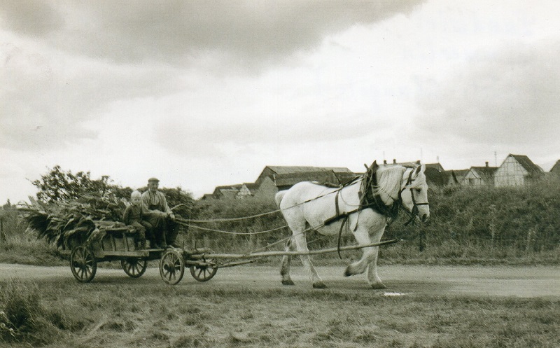 ZIMMERLIN GUSTI SCHANGELE 1966.jpg