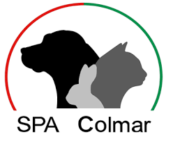 spa colmar.png