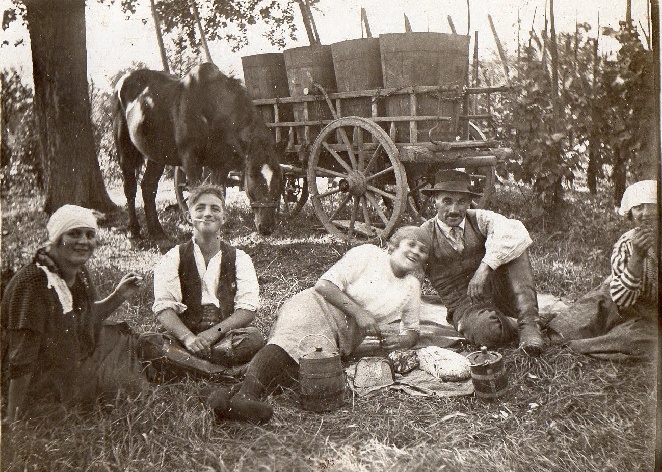 VENDANGES GOTLIEB HAAG EUGENE PFAU.jpg
