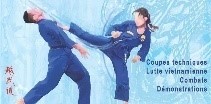 Vovinam viet vo dao