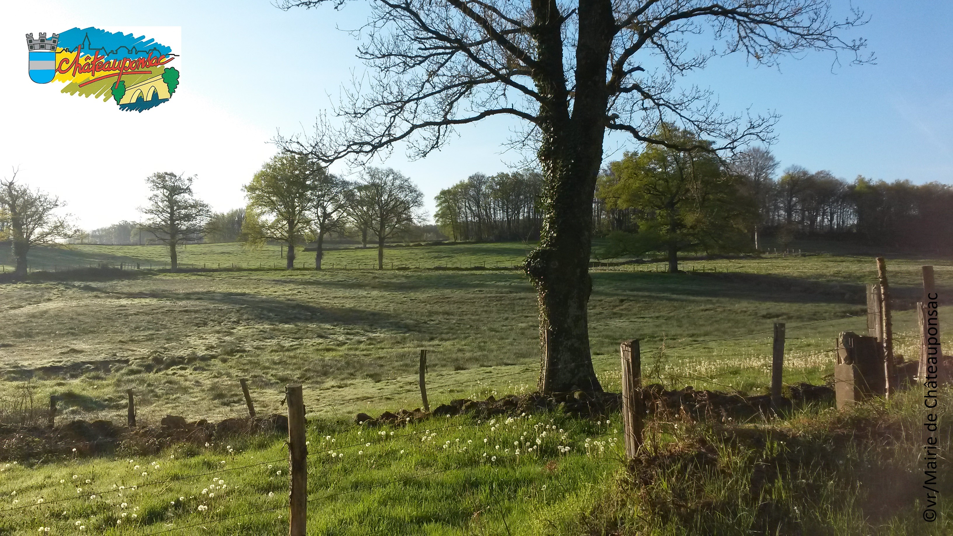 08 Paysage Téléthon.jpg