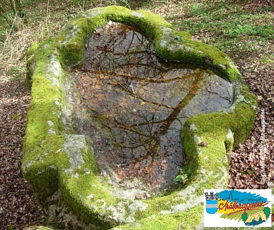 17 cuve trilobée Téléthon.jpg