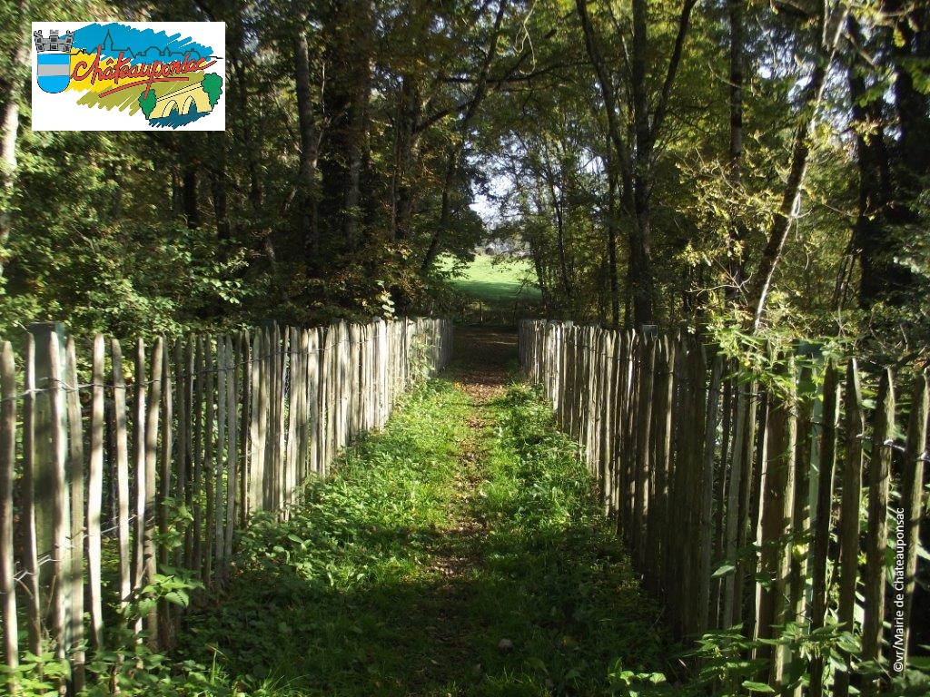 15 chemin Téléthon.jpg