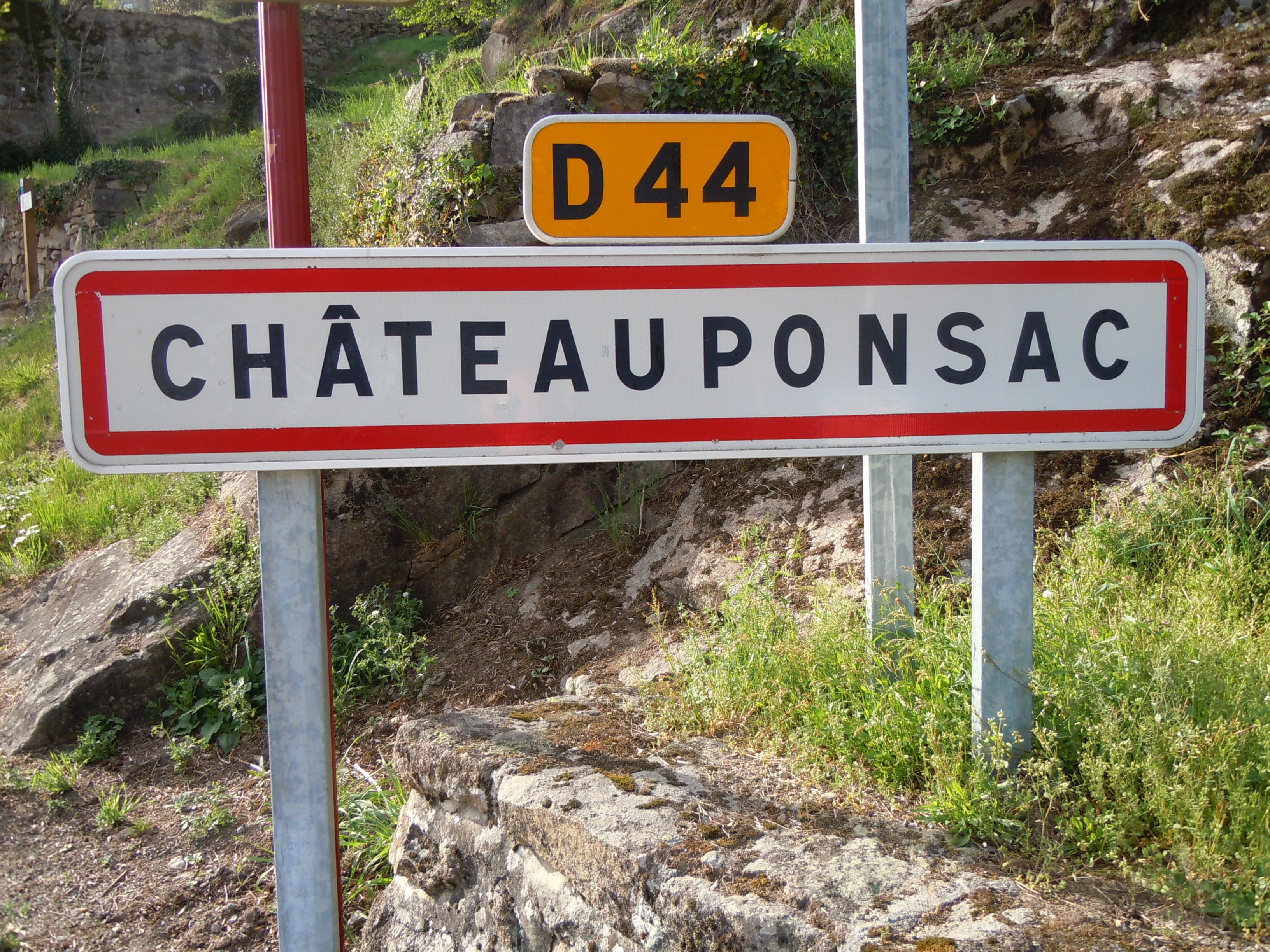 00 panneau ville Téléthon.jpg