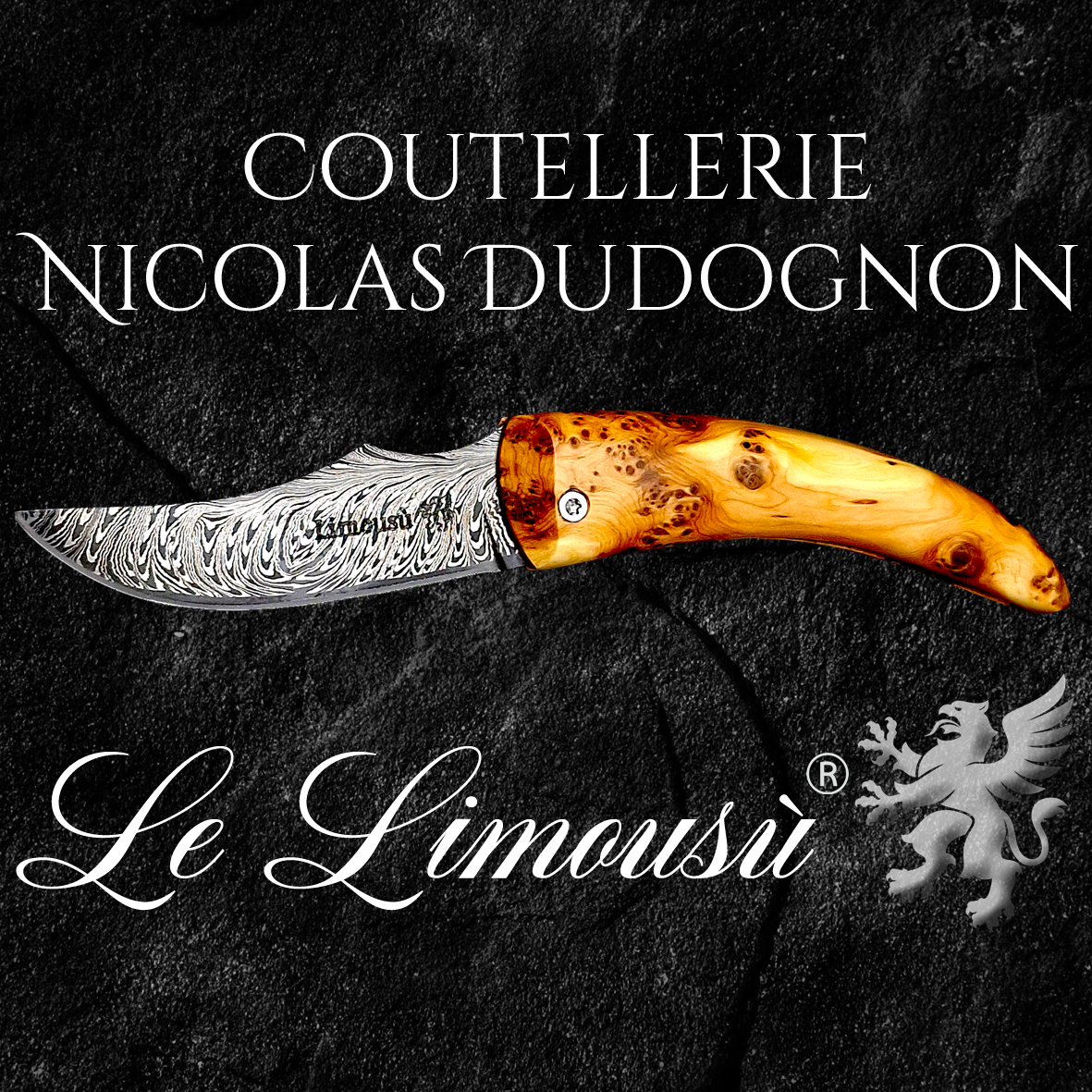 Nicolas DUDOGNON.png