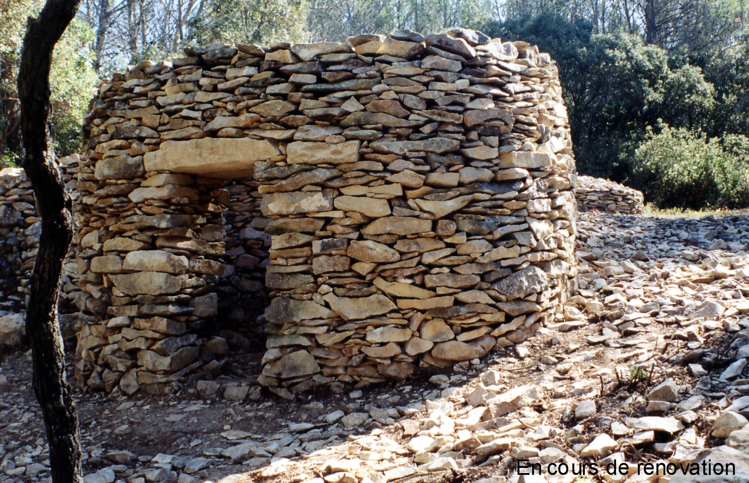 Capitelle N° 5 du Ponant.jpg