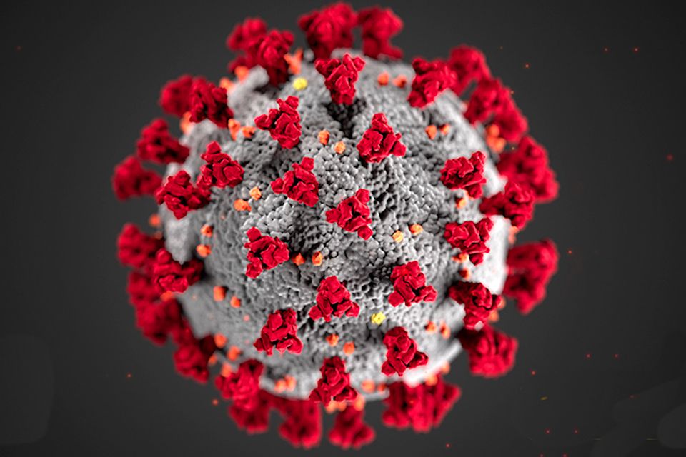 Coronavirus virus under the microscope.jpg