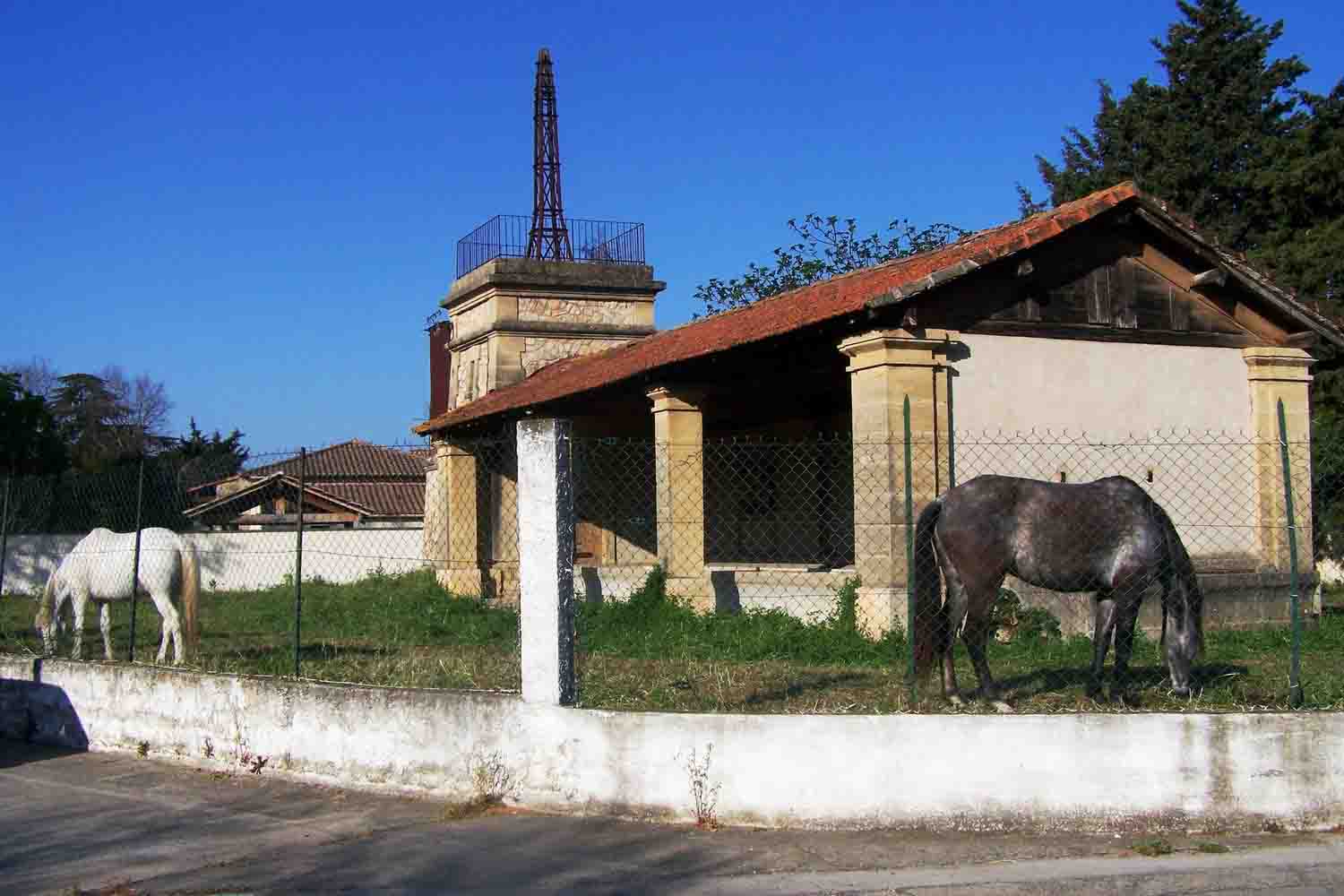 chevaux lavoir 2020-04-05 R.jpg
