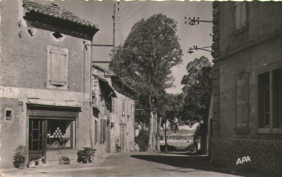 Avenue d_Albi.png