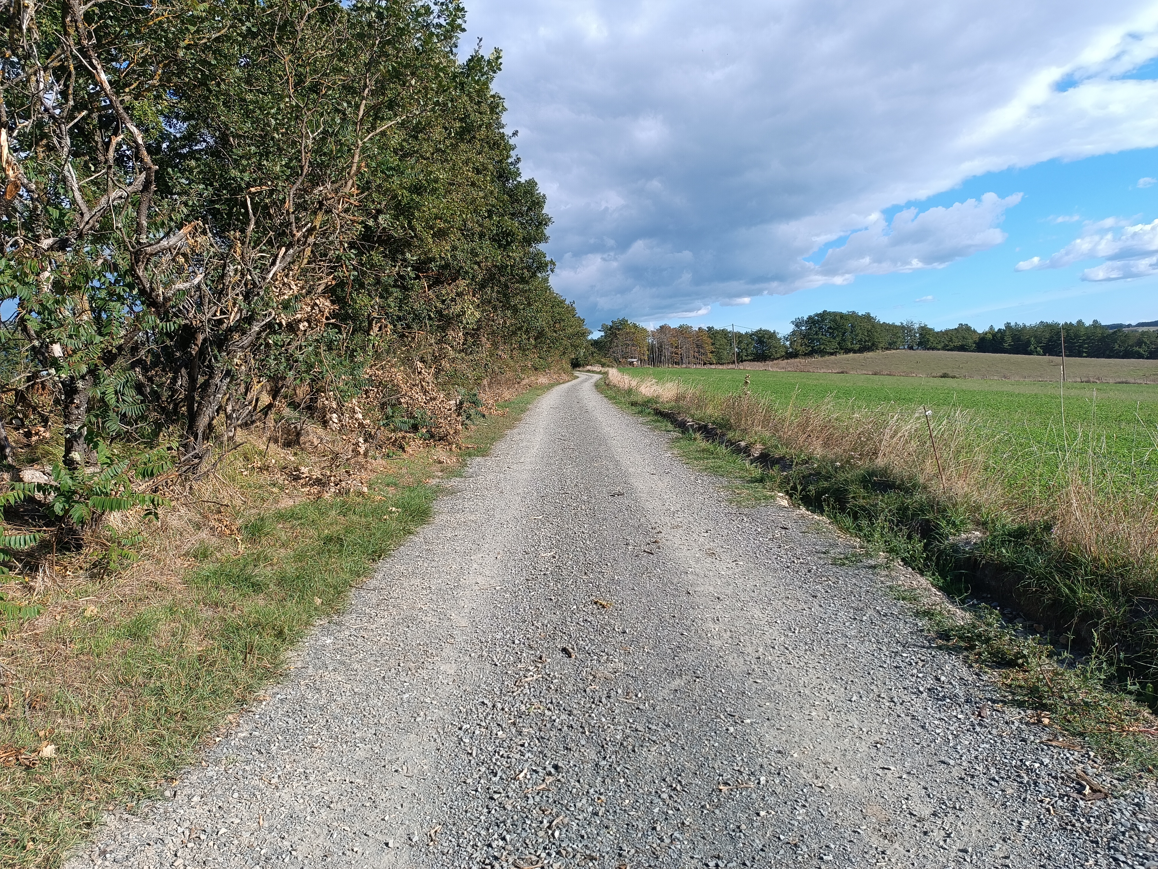 2024.07.03 Réfection chemin Belvèze.jpg