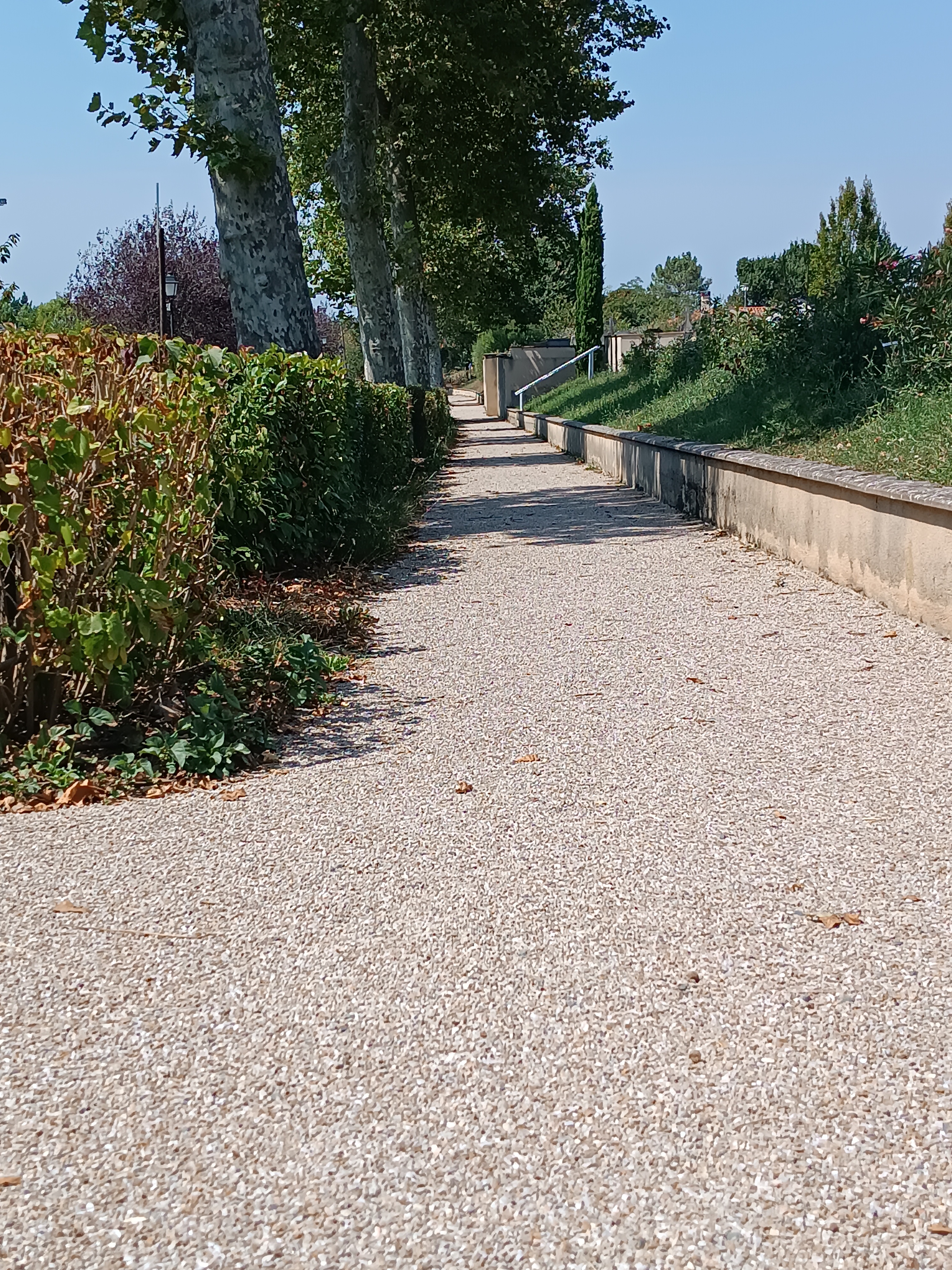 2024.05 Réfection trottoir Moulin à Vent.jpg