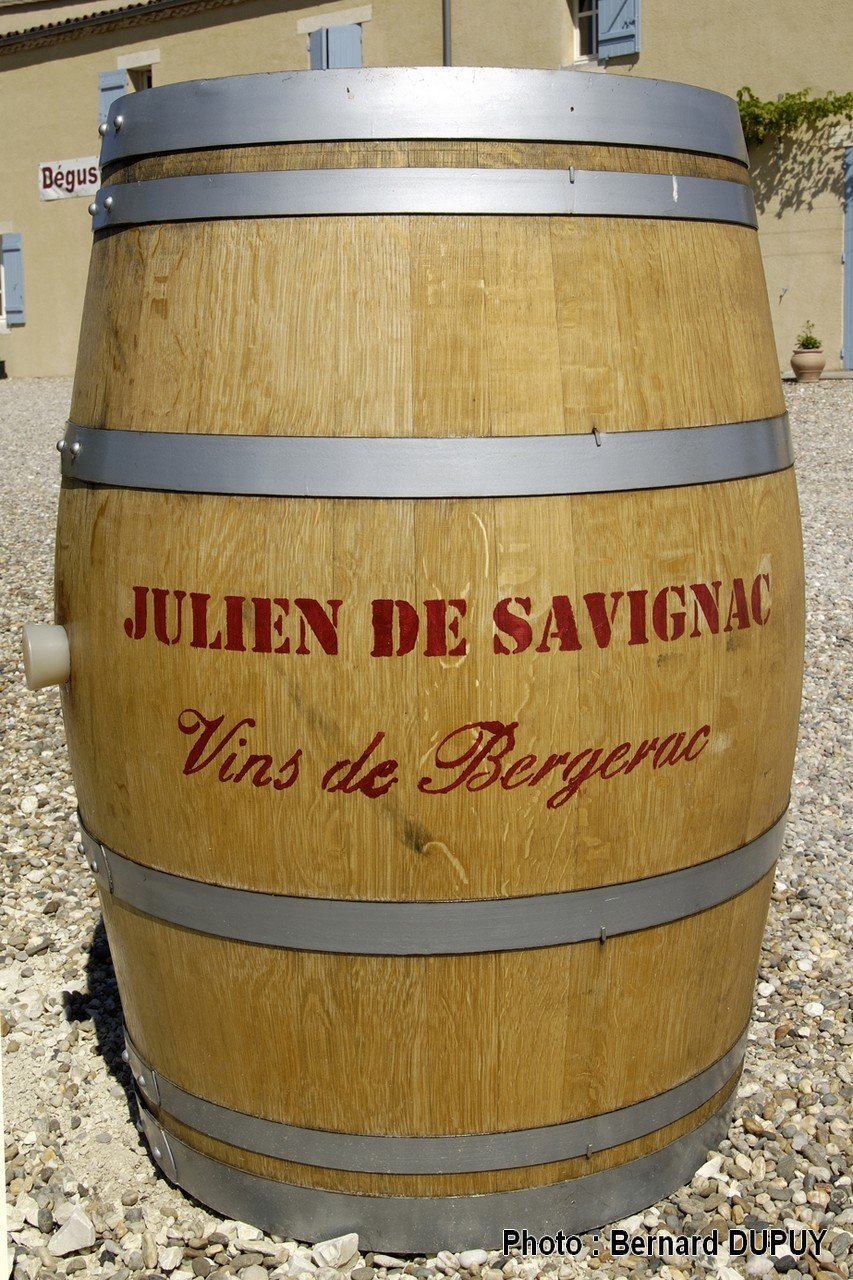 Photo Bernard Dupuy 2.jpg