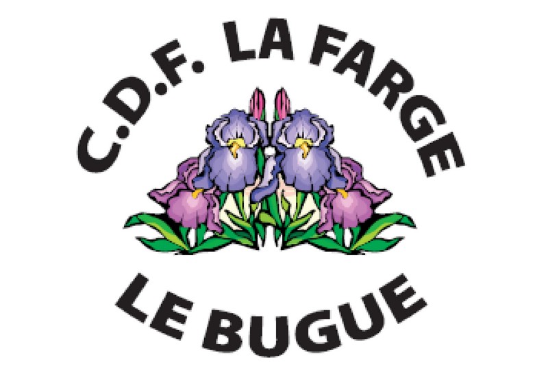 logo CDF.jpg