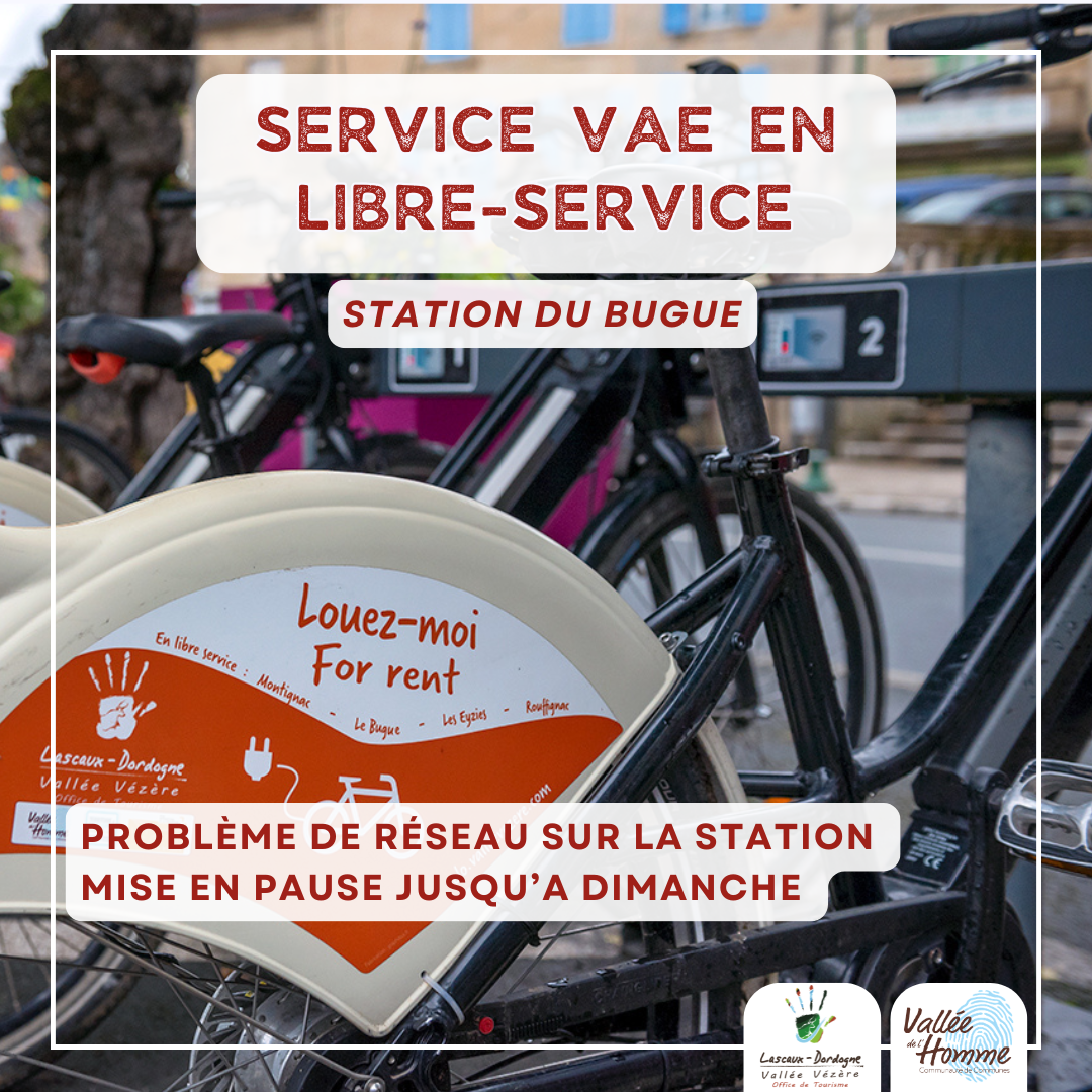 problèmes VAE.png