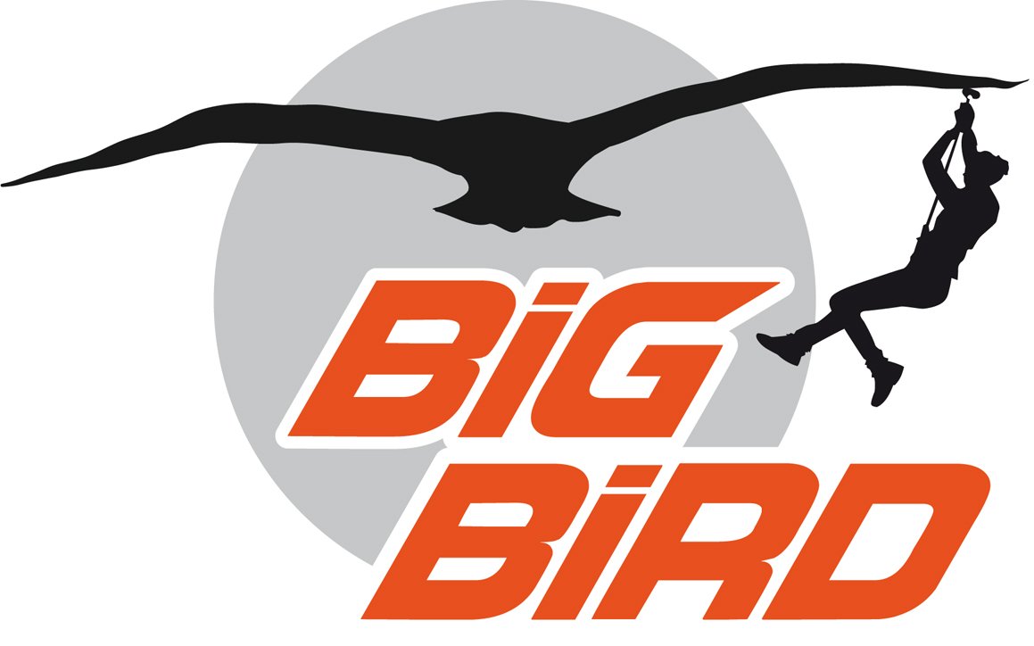 LOGO BIG BIRD.jpg