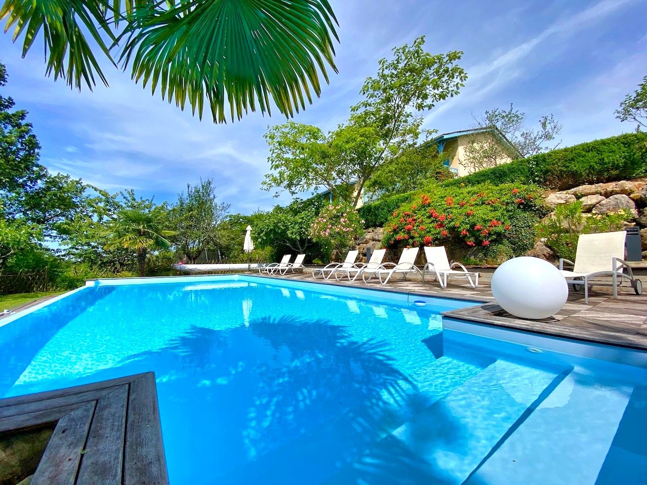olea-piscine - 2.jpeg