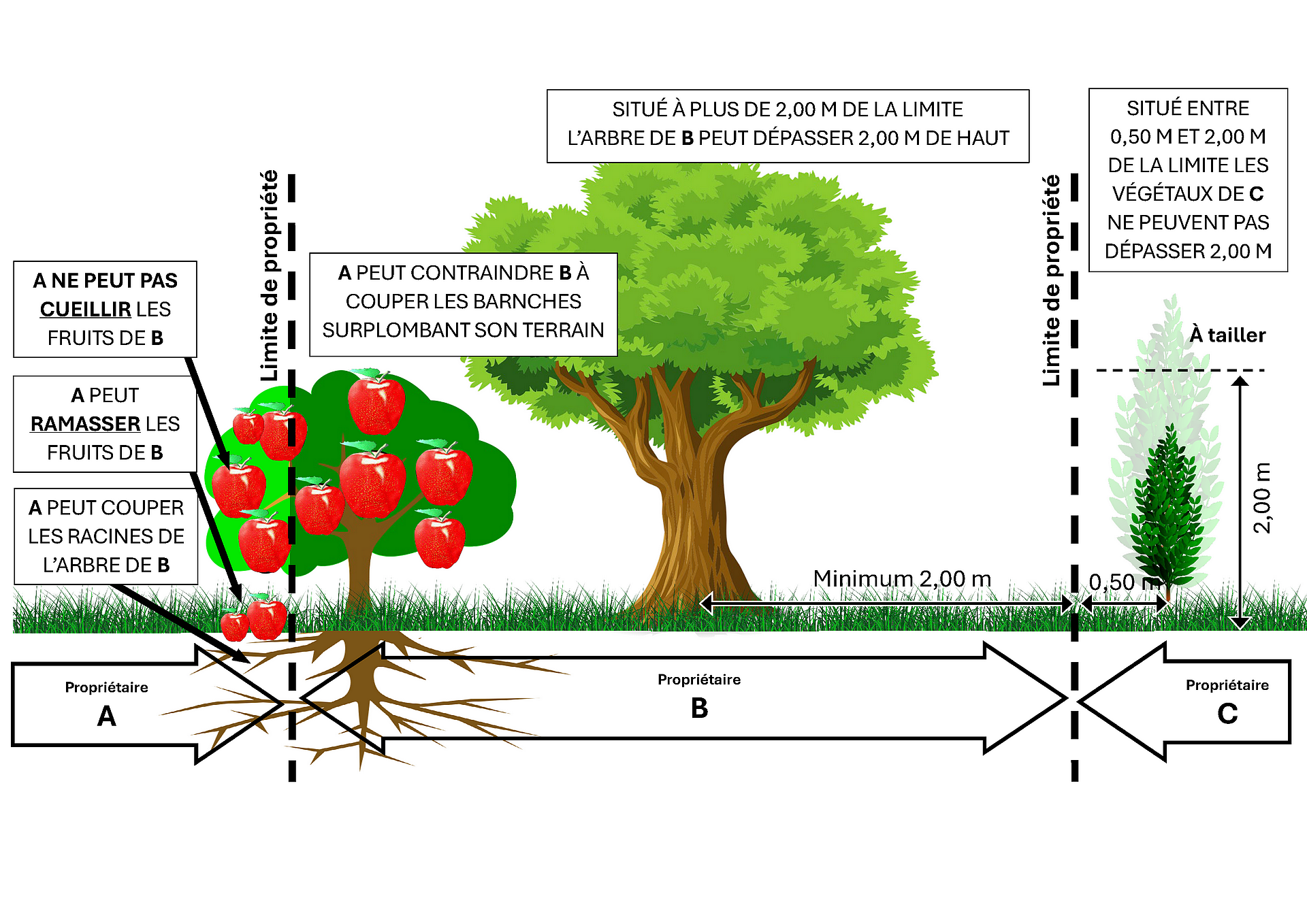 Plantations.png