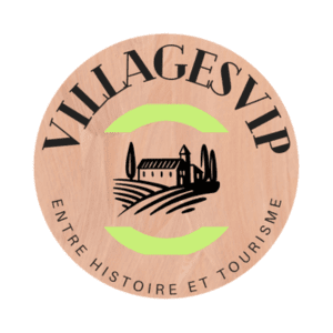 Logo VillagesVip.png