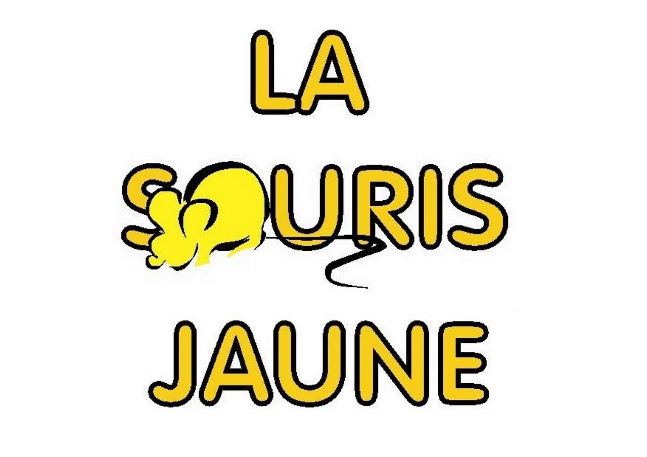 logo Souris Jaune 2.jpg