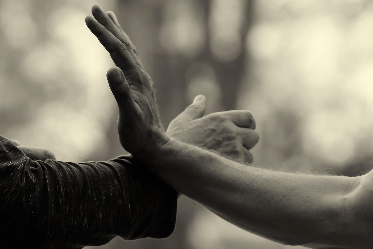 hands-6706782_1280.jpg